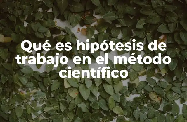Qué es Hipótesis de Trabajo en el Método Científico