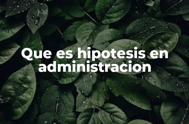 Que es Hipotesis en Administracion