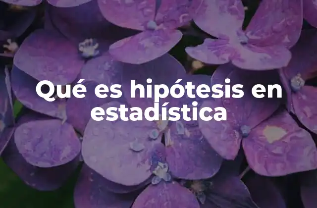 El papel de la hipótesis en la investigación científica