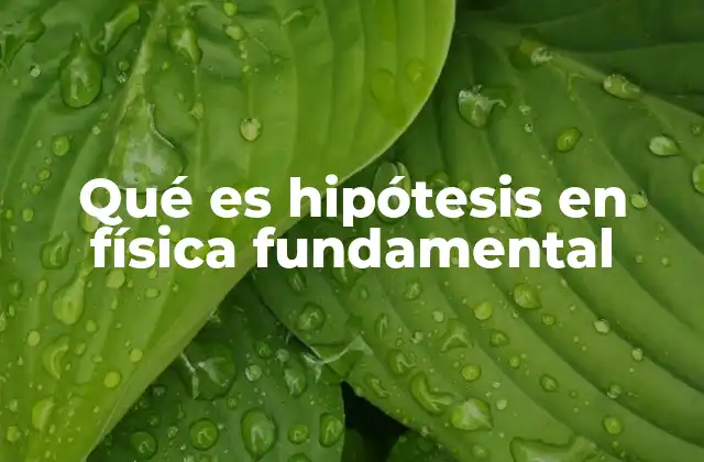Qué es Hipótesis en Física Fundamental