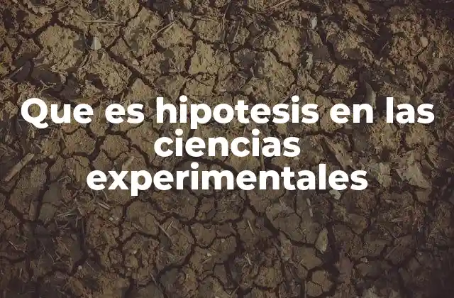 Que es Hipotesis en las Ciencias Experimentales