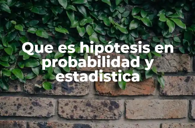 El papel de las hipótesis en el análisis de datos