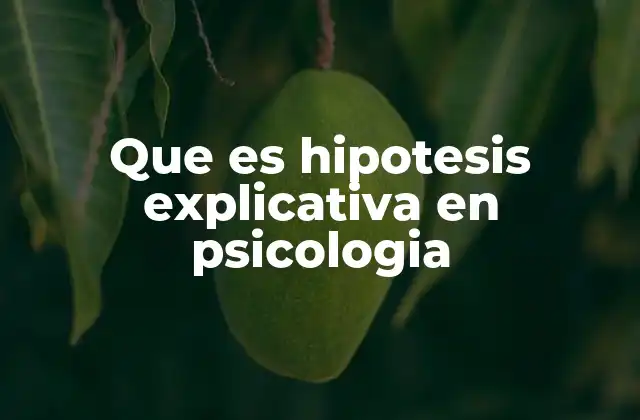 Que es Hipotesis Explicativa en Psicologia