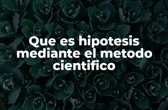 Que es Hipotesis mediante el Metodo Cientifico