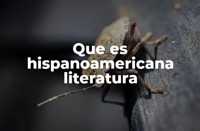 Que es Hispanoamericana Literatura
