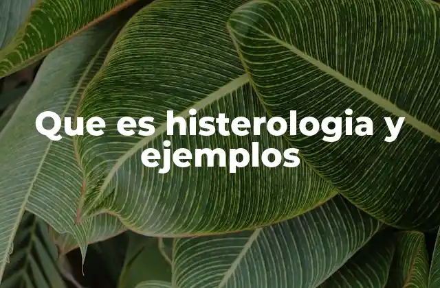 Que es Histerologia y Ejemplos