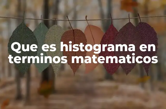 Que es Histograma en Terminos Matematicos