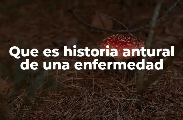 Que es Historia Antural de una Enfermedad