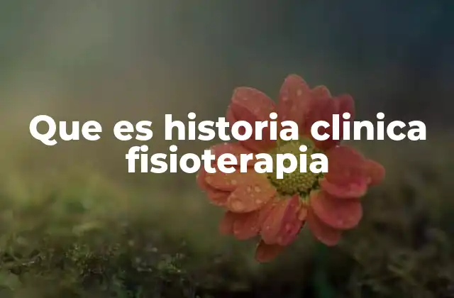 Que es Historia Clinica Fisioterapia