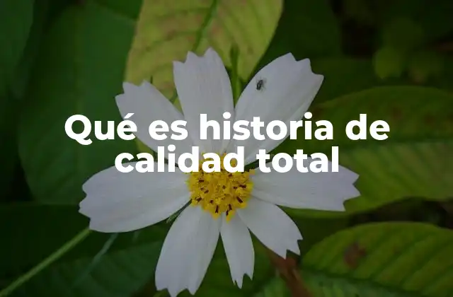 Qué es Historia de Calidad Total