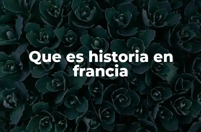 Que es Historia en Francia