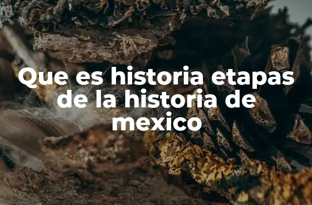 Que es Historia Etapas de la Historia de Mexico
