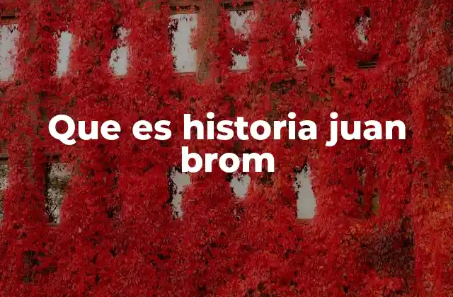 Que es Historia Juan Brom