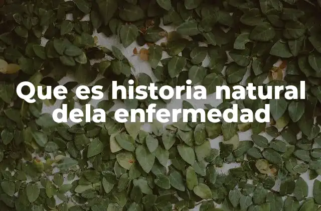 Que es Historia Natural Dela Enfermedad