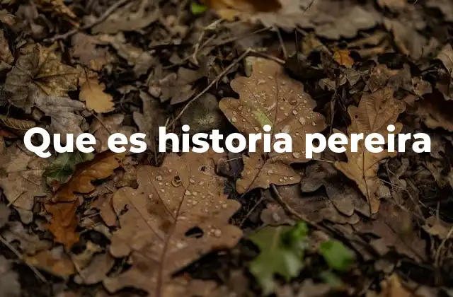 Que es Historia Pereira 2 El crecimiento de una ciudad en el centro de Colombia