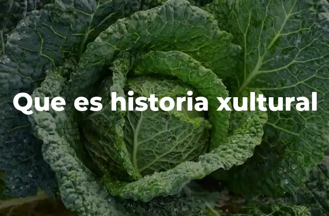 Que es Historia Xultural