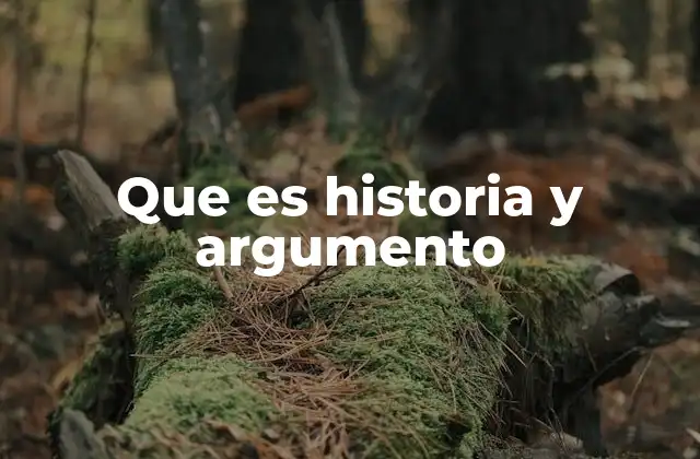 Que es Historia y Argumento