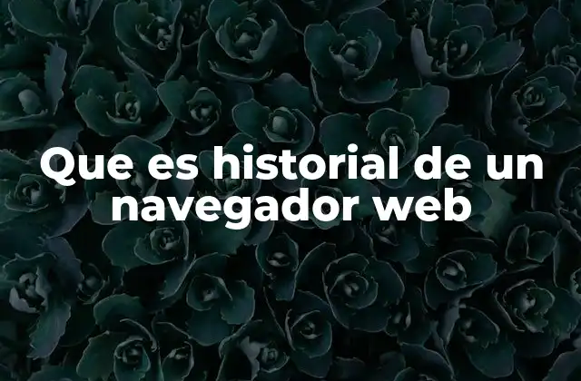 Que es Historial de un Navegador Web