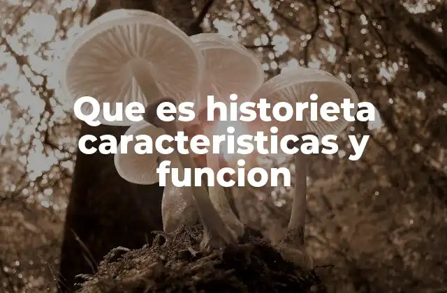 Que es Historieta Caracteristicas y Funcion