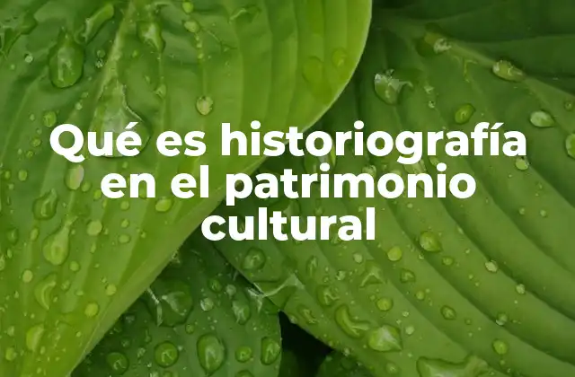 Qué es Historiografía en el Patrimonio Cultural