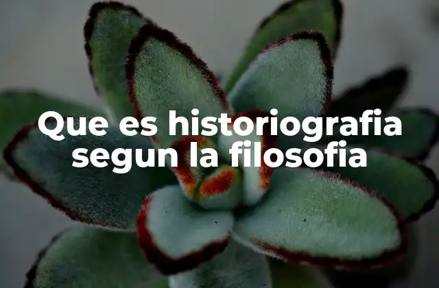 Que es Historiografia Segun la Filosofia