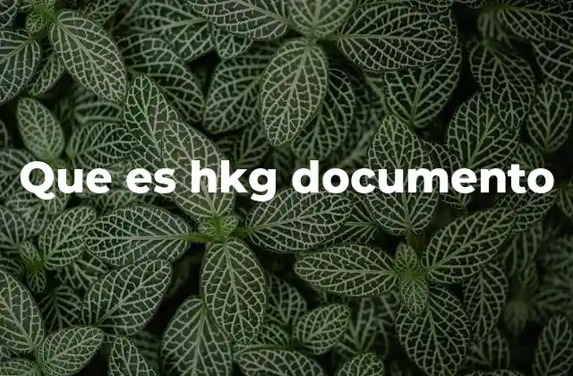 Que es Hkg Documento