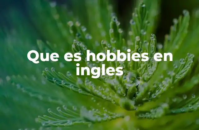 Que es Hobbies en Ingles