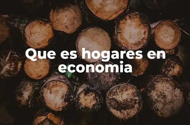 Que es Hogares en Economia