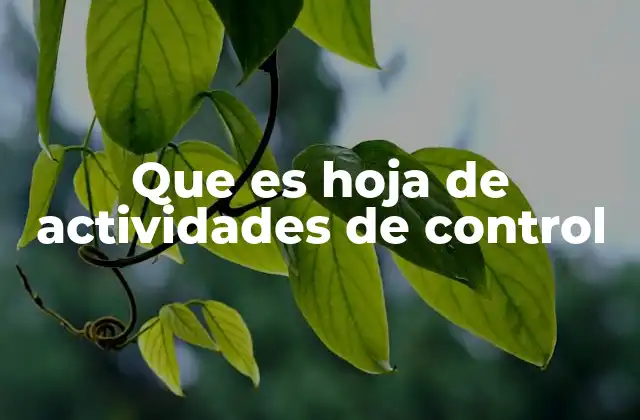 Que es Hoja de Actividades de Control