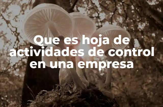 Que es Hoja de Actividades de Control en una Empresa