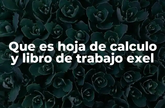 Que es Hoja de Calculo y Libro de Trabajo Exel