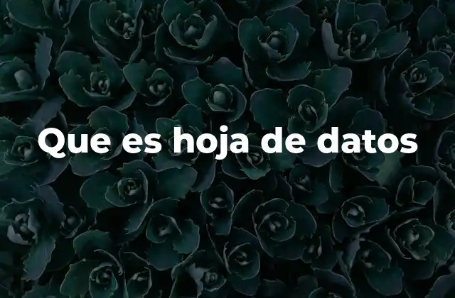 Que es Hoja de Datos