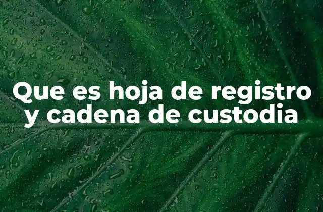 Que es Hoja de Registro y Cadena de Custodia