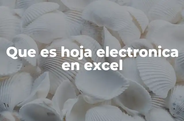 Que es Hoja Electronica en Excel