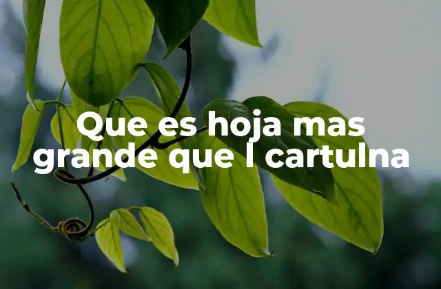 Que es Hoja mas Grande que L Cartulna