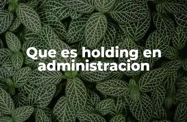 Que es Holding en Administracion