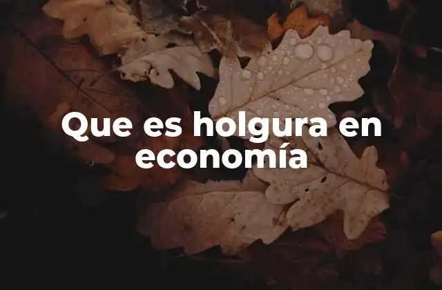 Que es Holgura en Economía