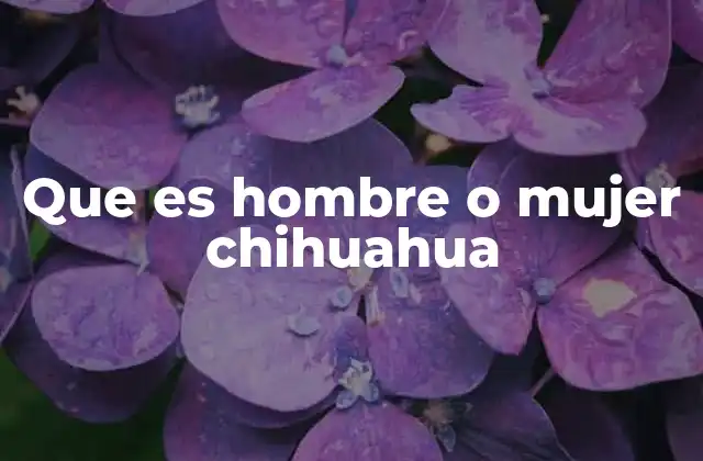 Que es Hombre o Mujer Chihuahua