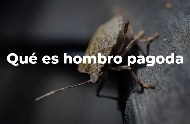 Qué es Hombro Pagoda