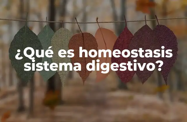 ¿qué es Homeostasis Sistema Digestivo?