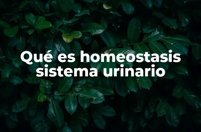 Qué es Homeostasis Sistema Urinario
