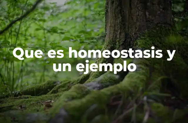 Que es Homeostasis y un Ejemplo