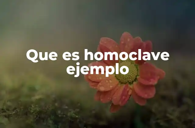Que es Homoclave Ejemplo