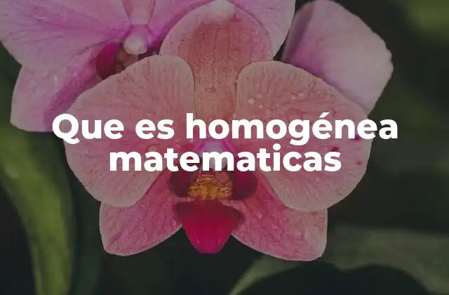 Que es Homogénea Matematicas 2 La importancia de la homogeneidad en ecuaciones diferenciales
