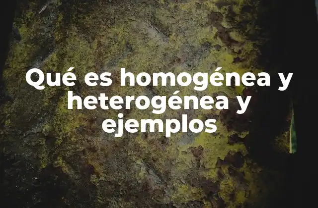 Qué es Homogénea y Heterogénea y Ejemplos