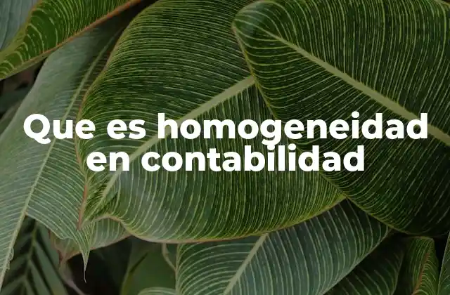 Que es Homogeneidad en Contabilidad