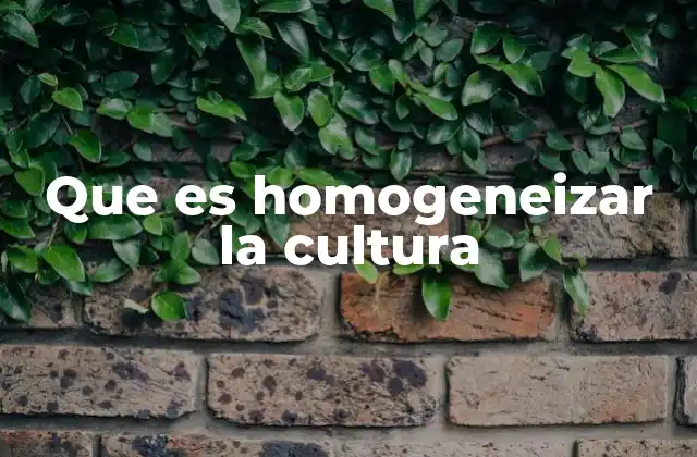 Que es Homogeneizar la Cultura