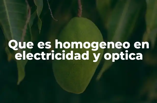 Que es Homogeneo en Electricidad y Optica