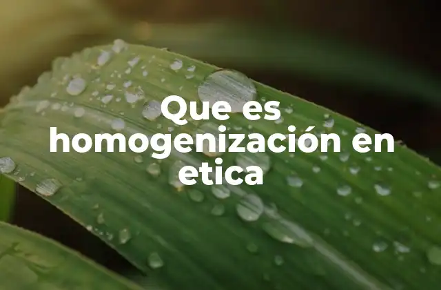 Que es Homogenización en Etica