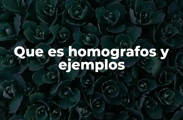 Que es Homografos y Ejemplos